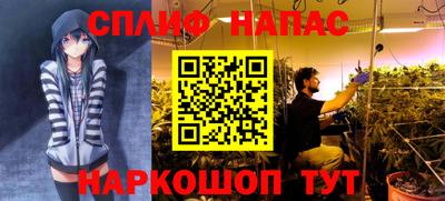 молекула духа Конаково