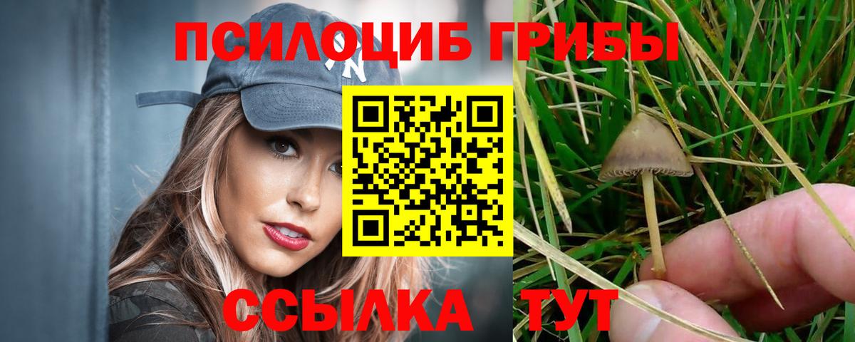 Ростов Великий  дарнет шоп  Вход с VPN  Псилоцибиновые грибы мицелий 